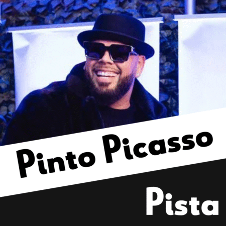 Pinto Picasso Pista